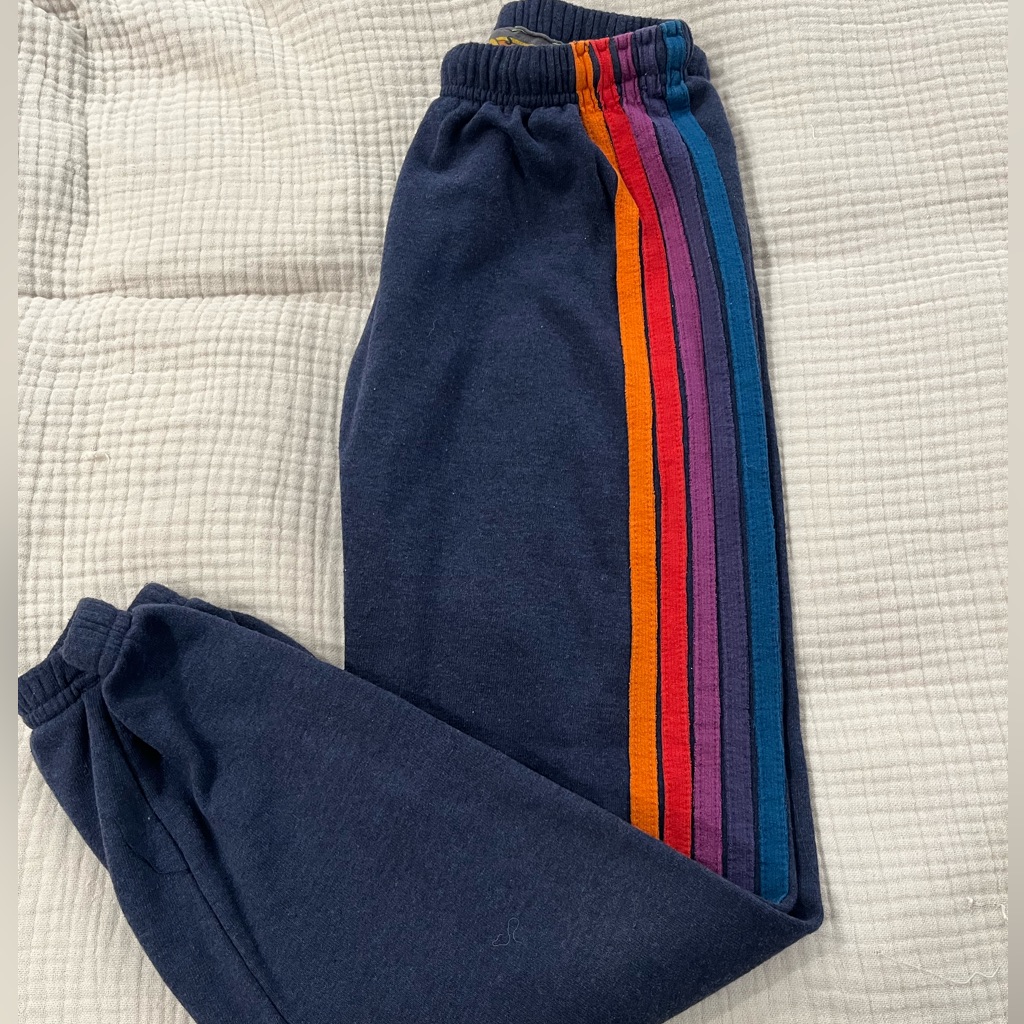 Aviator Nation Small 5-Stripe Sweatpants In Navy